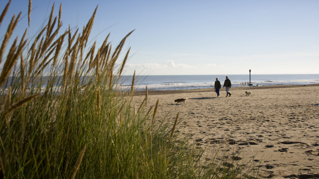 Dog Friendly Beaches in Lincolnshire