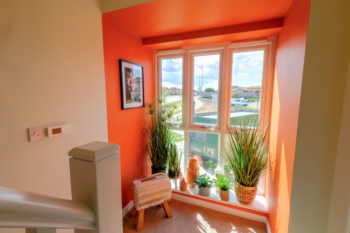 One at Charterholme show home landing plants window