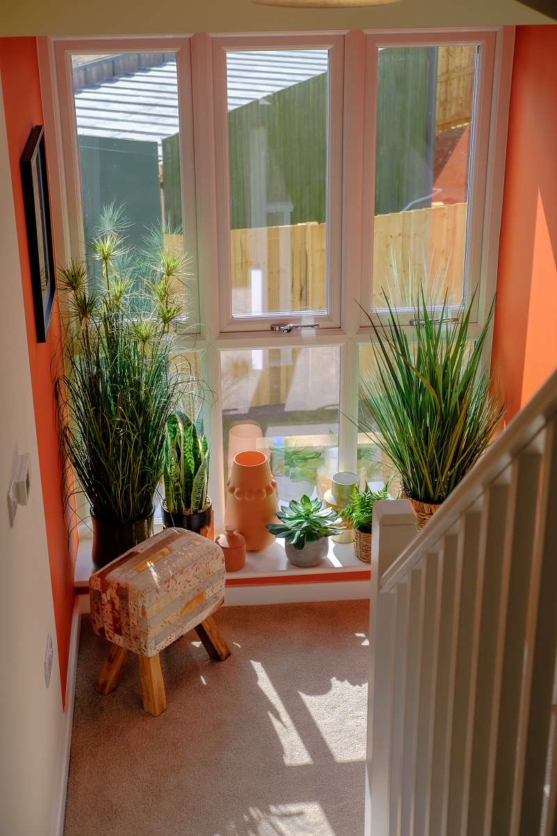 One at Charterholme show home landing plants window