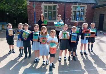 school children bird boxes