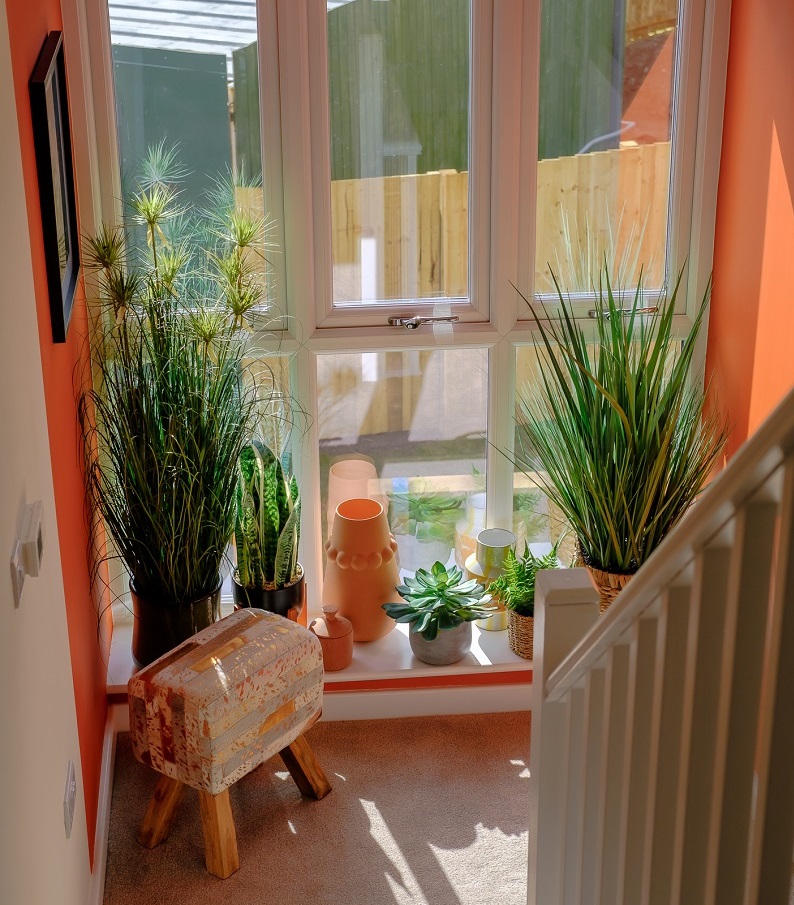 Show Home One at Charterholme landing window plants