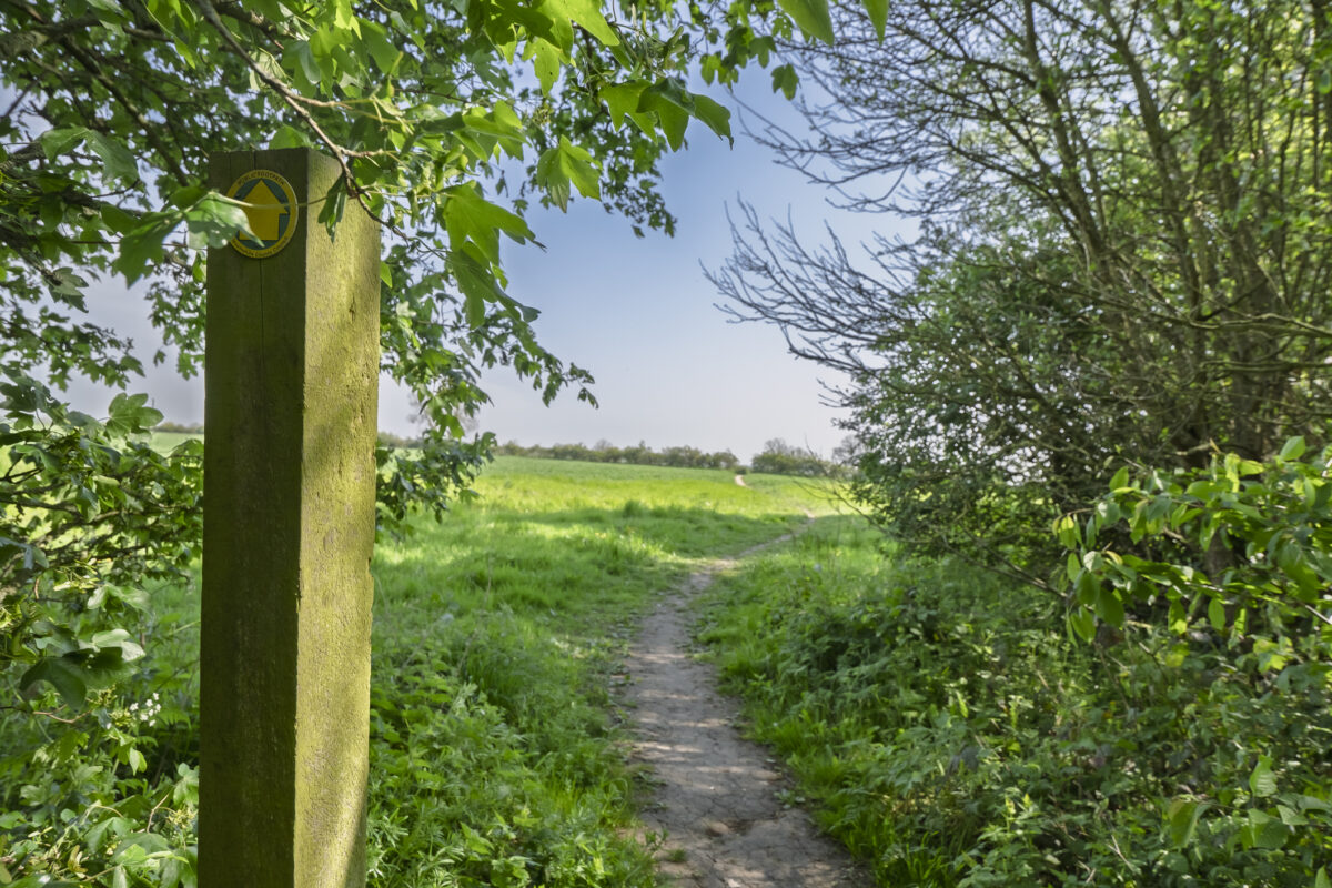 Scothern countryside view